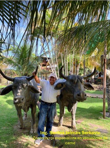El Ing. Santos Jaimes Serkovic junto a esculturas de vacunos